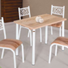 CONJUNTO DE MESA E 04 CADEIRAS JADE
